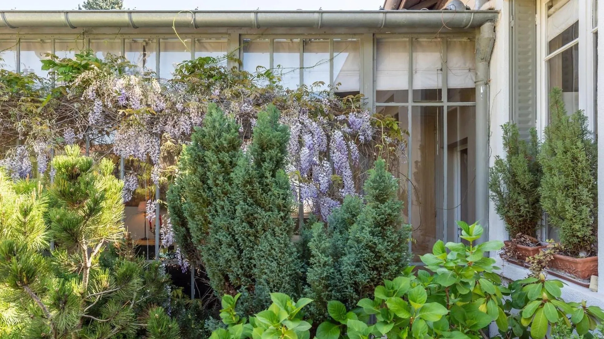 Willa La belle vie charming house with pool Saint-Didier-au-Mont-d'Or